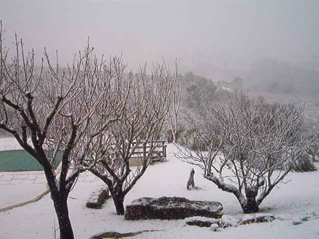 Aqc - A Quinta Chama Konuk evi Caldas Da Rainha Dış mekan fotoğraf